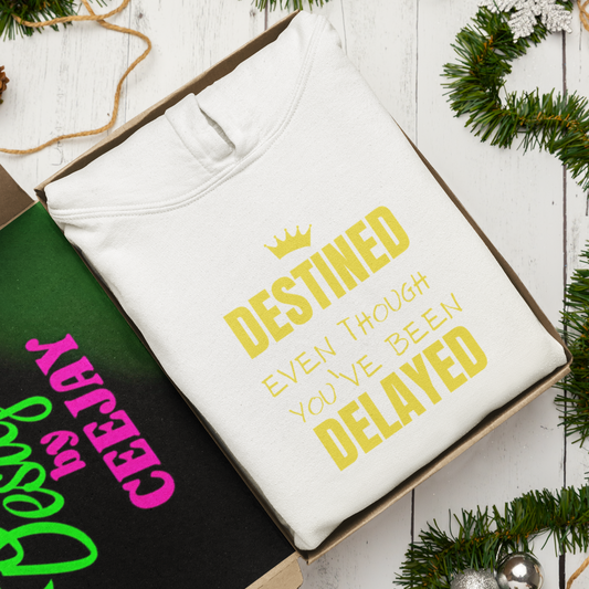 Destined Though Delayed – Motivational Hoodie for Adults